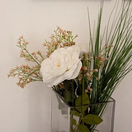 아파트 Casa Bianca *